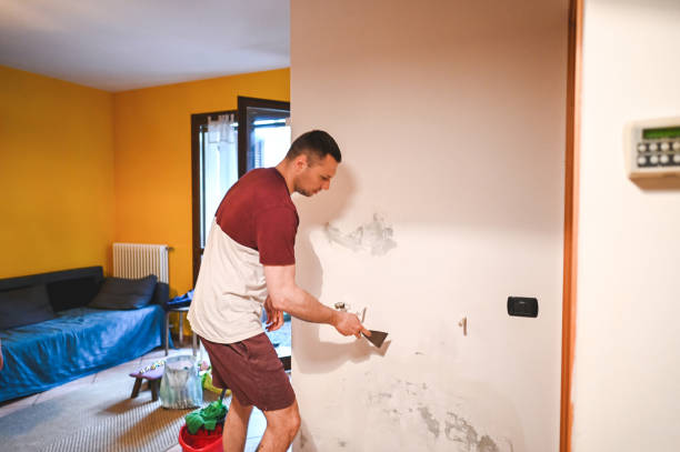 Best Office Mold Removal Services  in Hudson, FL