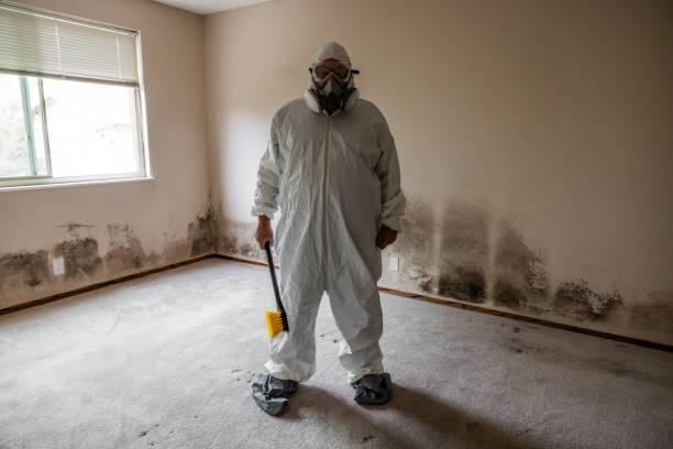 Best Emergency Mold Removal  in Hudson, FL